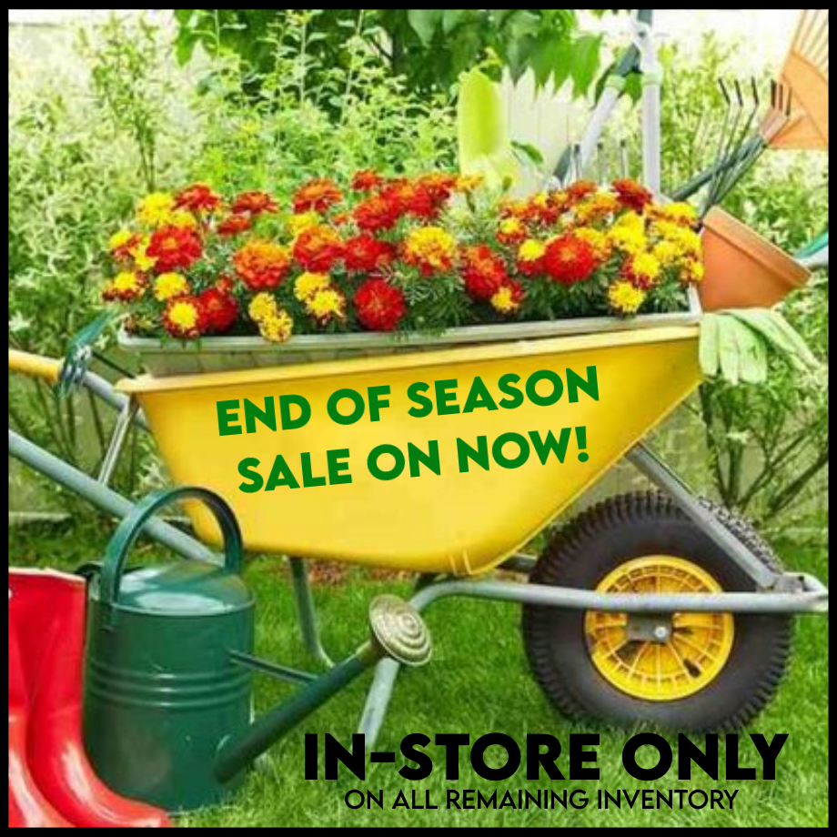 Come Discover La Greenhouse Top Quality Plants Great Selection Offering Top Quality Flowers Veggies Baskets And More Serving Olds Didsbury Carstairs Crossfield Airdrie Calgary And Cochrane